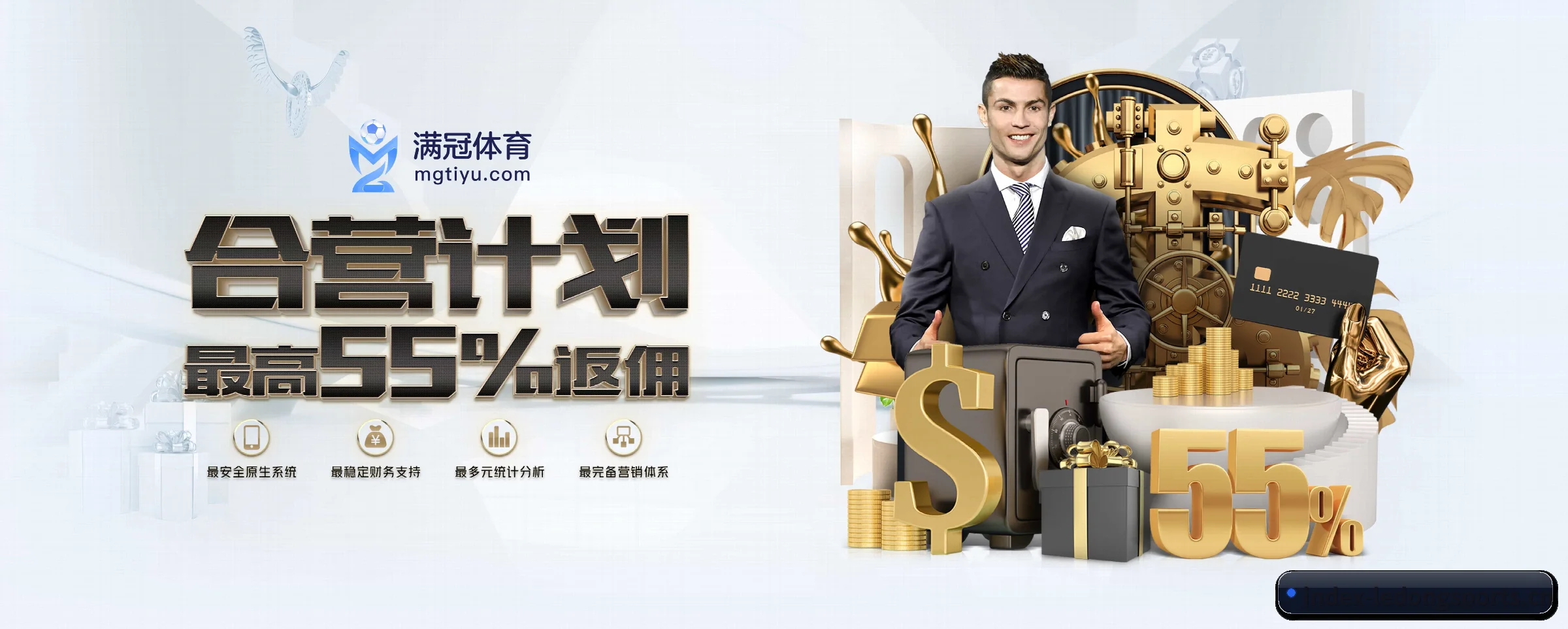 乐动体育 APP(ledongsports)