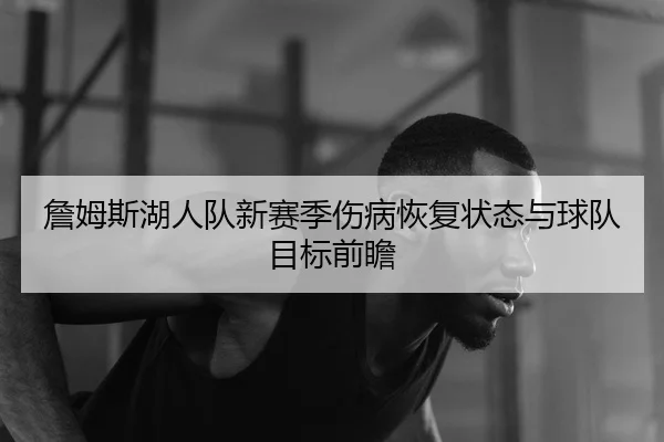 詹姆斯湖人队新赛季伤病恢复状态与球队目标前瞻 - ledongsports